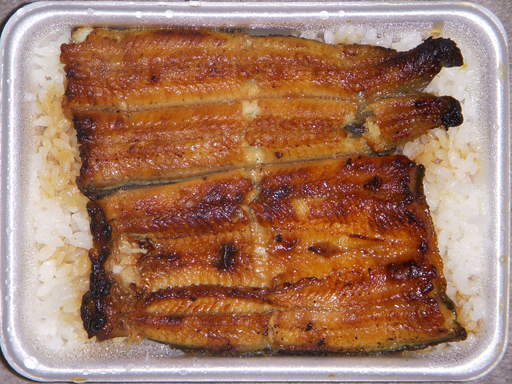 Unagi_bento