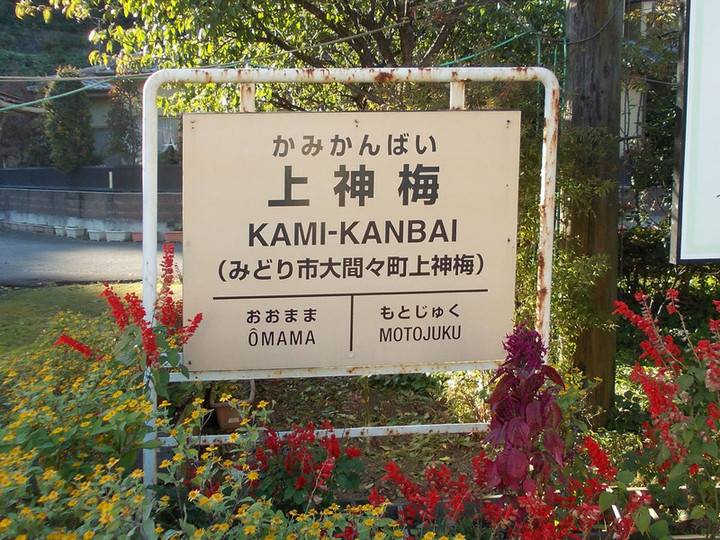 Kamikanbai1