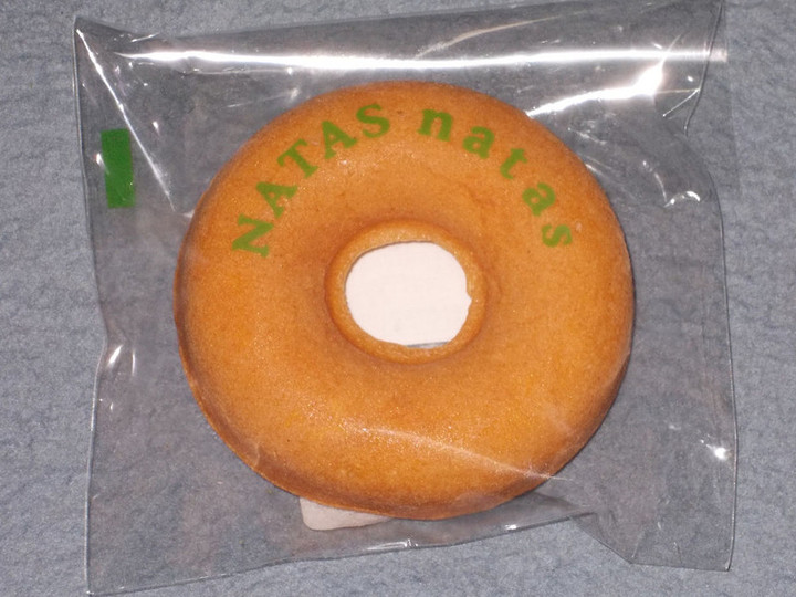 Natas_plane