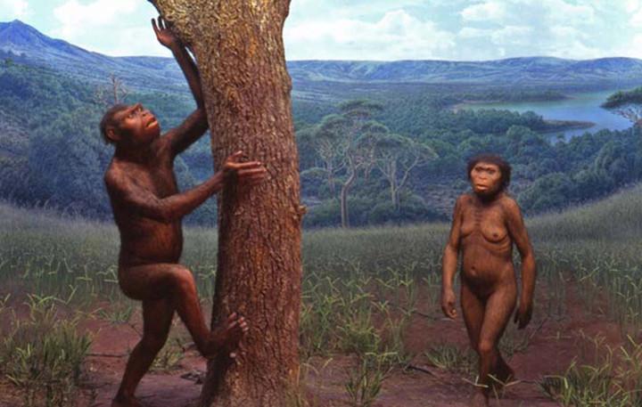 Gunma_japan_afarensis