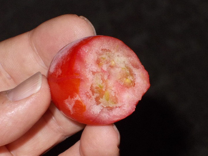Tomato0824b