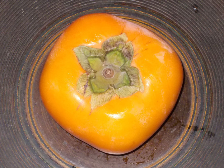 Gunma_kaki