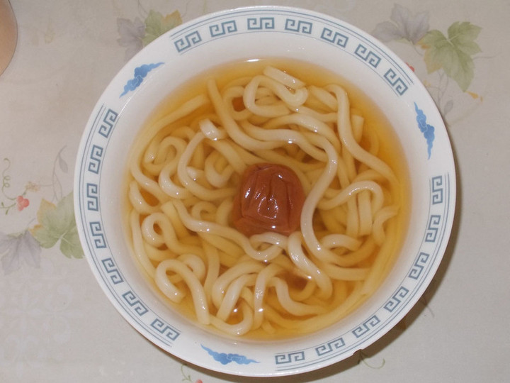 Ume_udon2