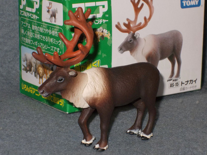 やまだくんのせかい : アニア：トナカイ