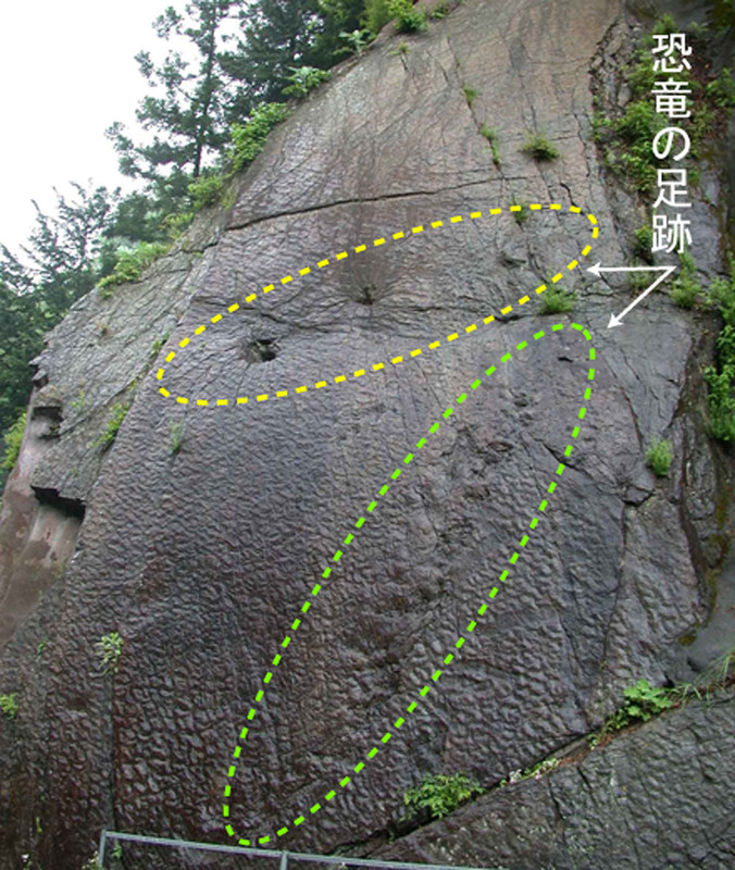 Kyouryuu_ashi22 Kyouryuu_ashi22