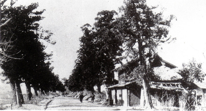 Takasaki_kuraganosugi