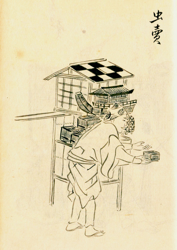 Edo_mushi81