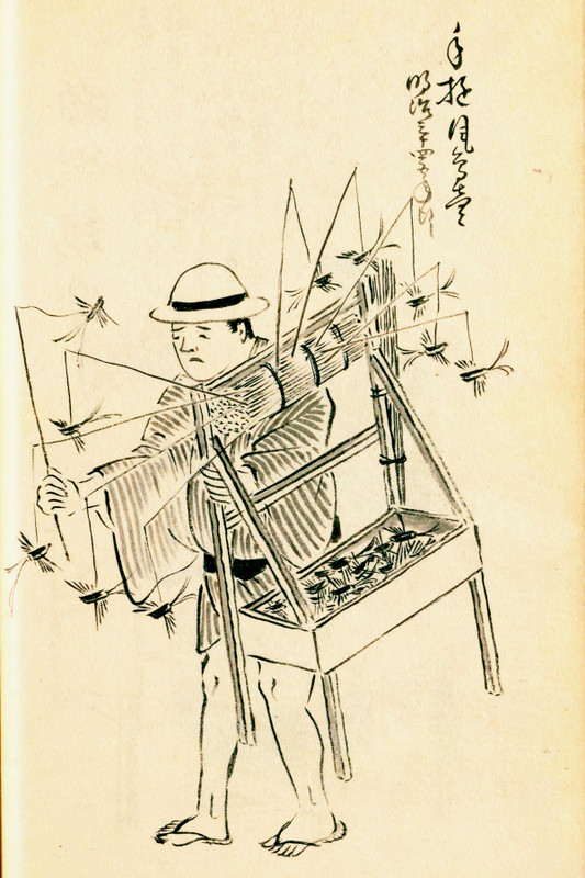 Edo_choucho81