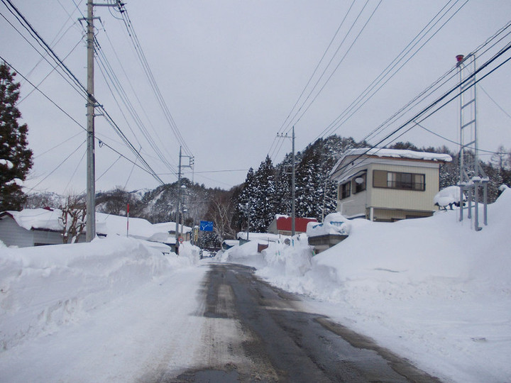 Fujiwara0121a