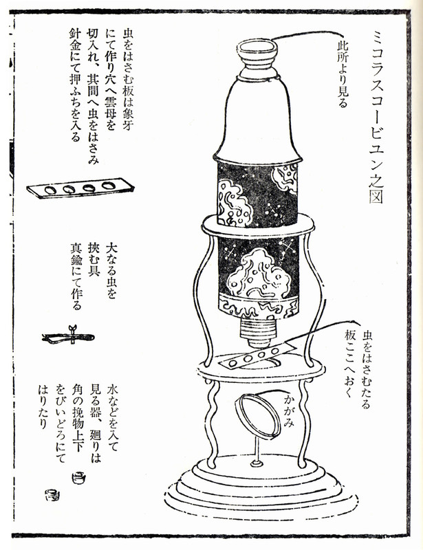 Edo_maicroscope