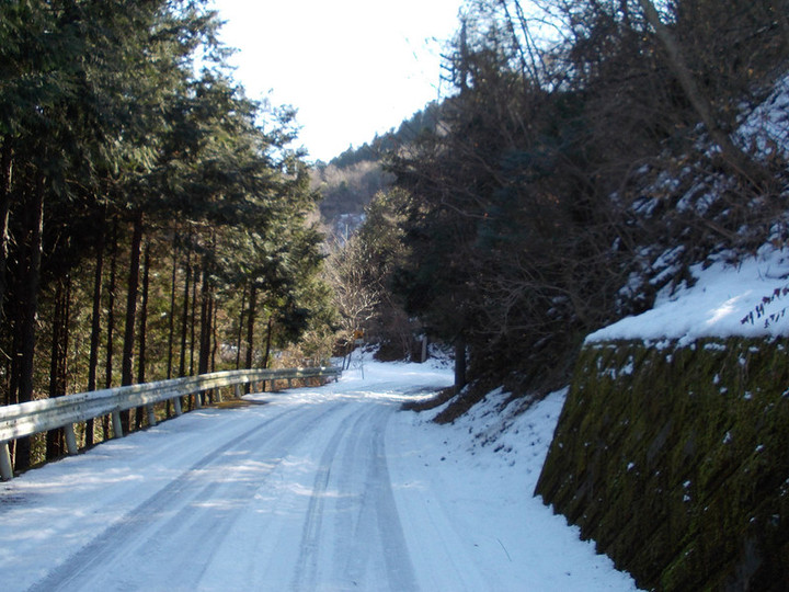 Shoumaru2010a