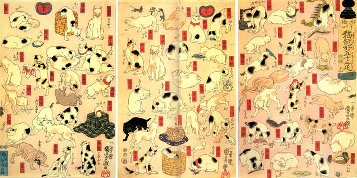 Kuniyoshi_neko53