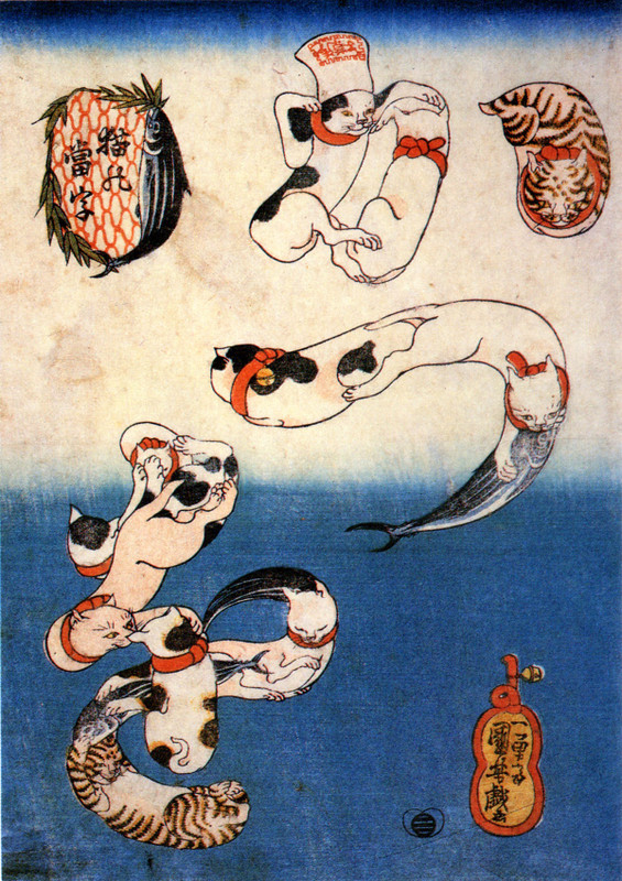 Edo_katsuo