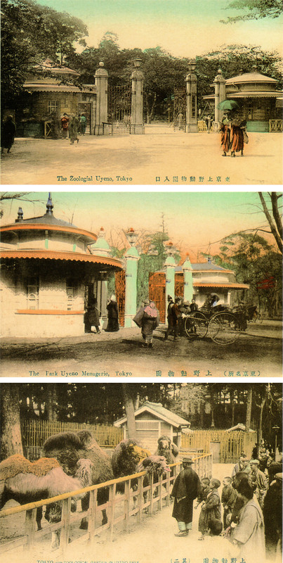 Uenozoo