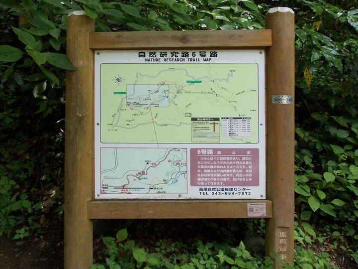 Takao13