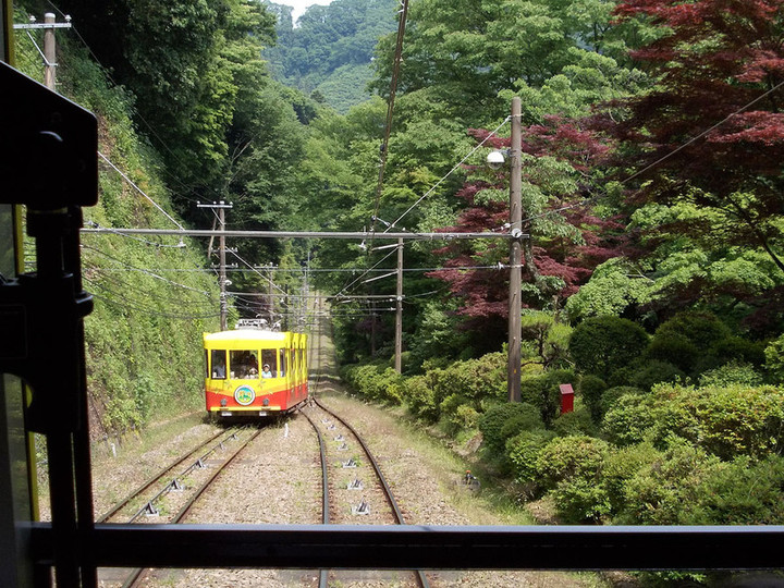 Takao19