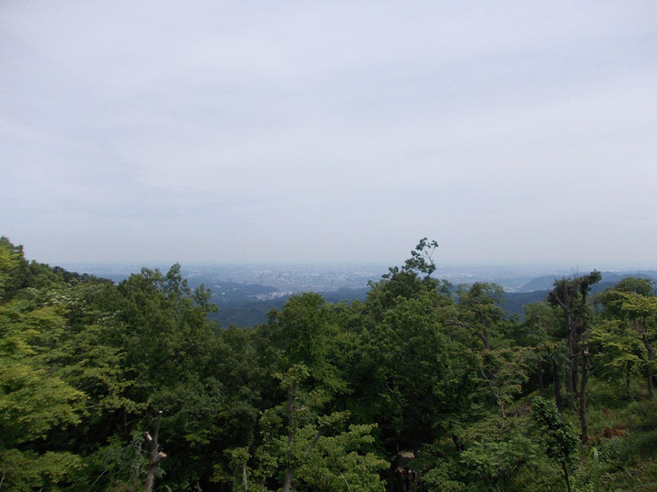 Takao7