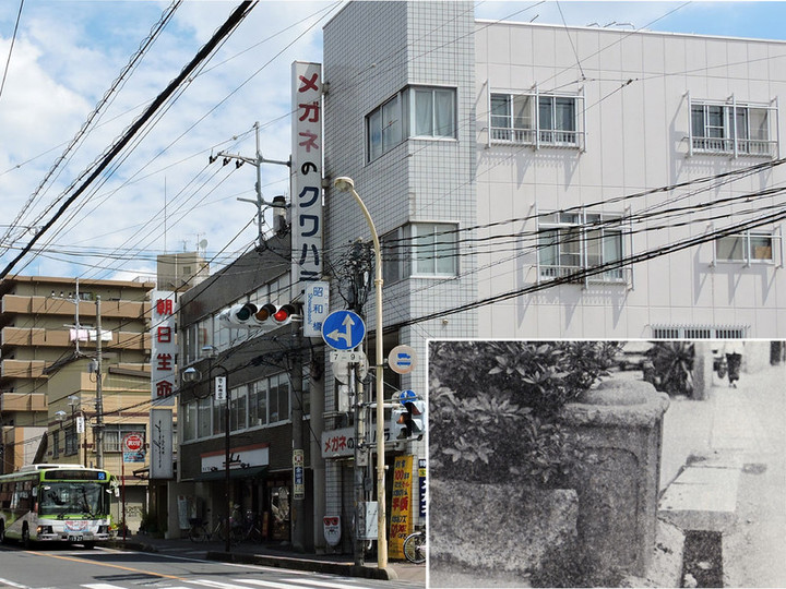 Hatogaya11