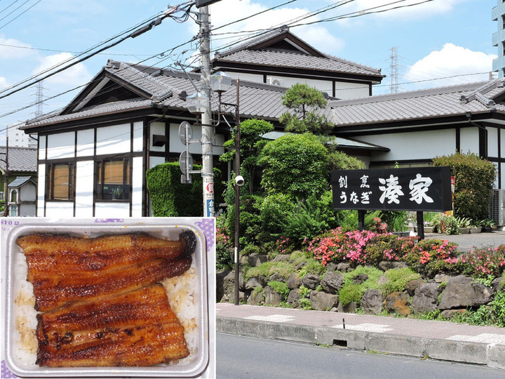 Hatogaya17