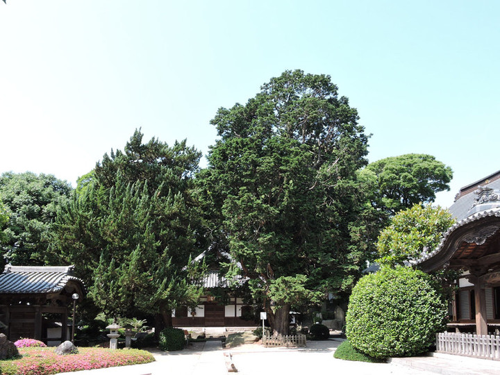 Choutokuji05