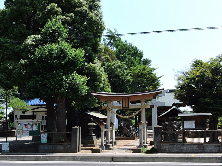 Hatogaya61