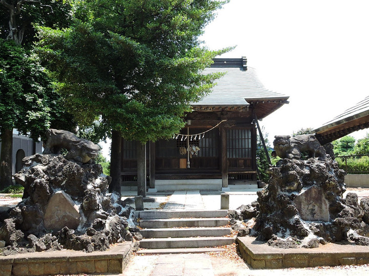 Hatogaya62