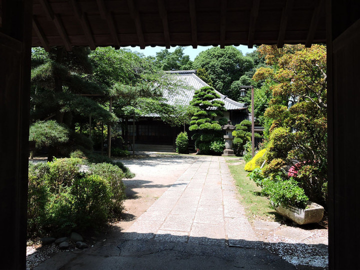 Hatogaya63