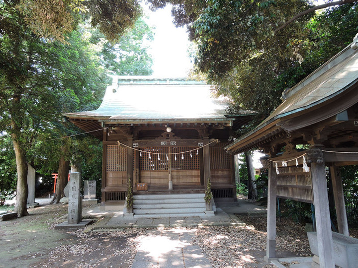 Hatogaya64