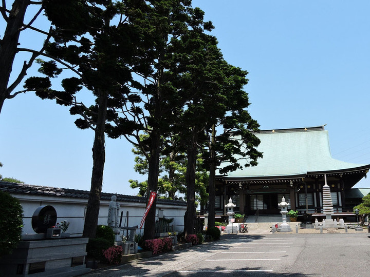 Hatogaya66
