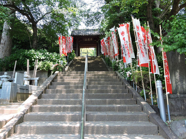 Hatogaya68