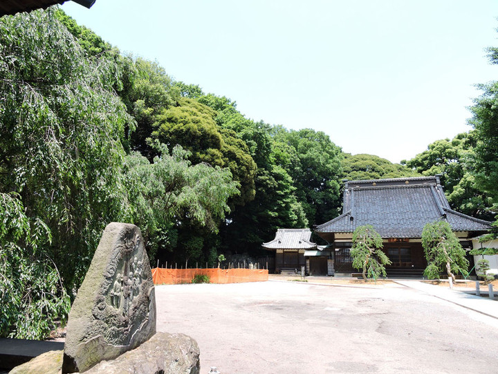 Hatogaya69
