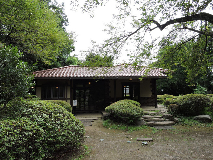 Shibusawa31