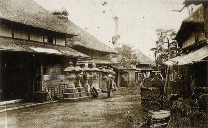 Ohgiya81