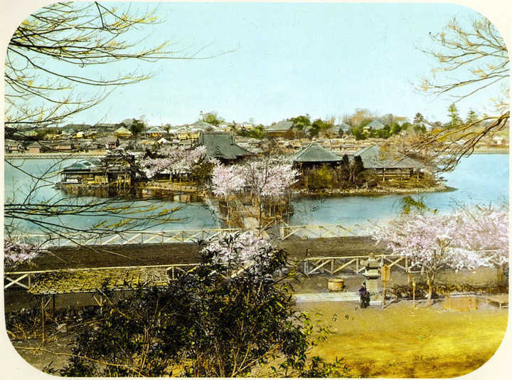 Shinobazu1890