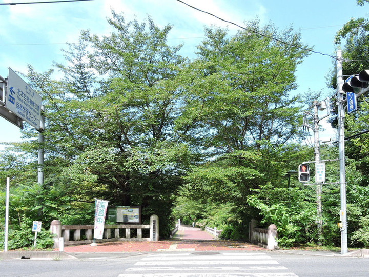 Kitamoto82