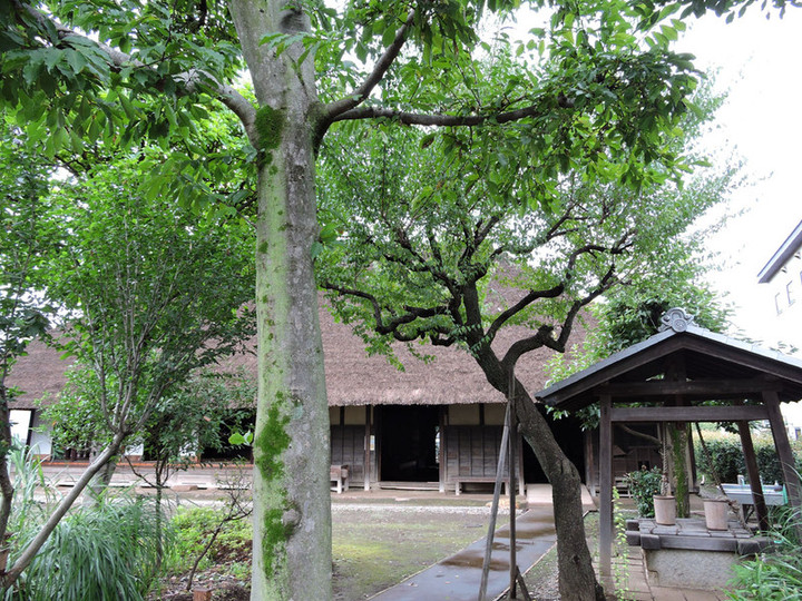 Miyoshi03