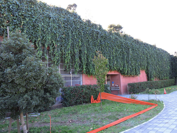 Toneri98