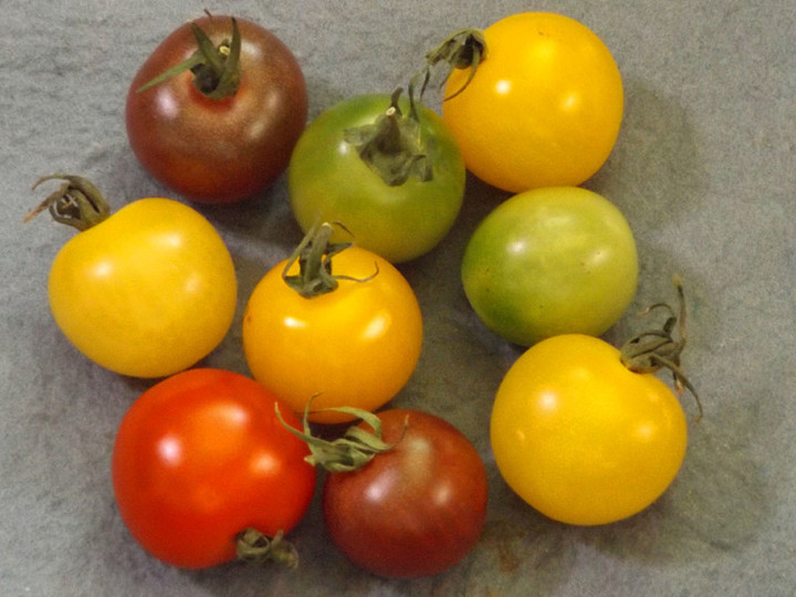 Tomato89