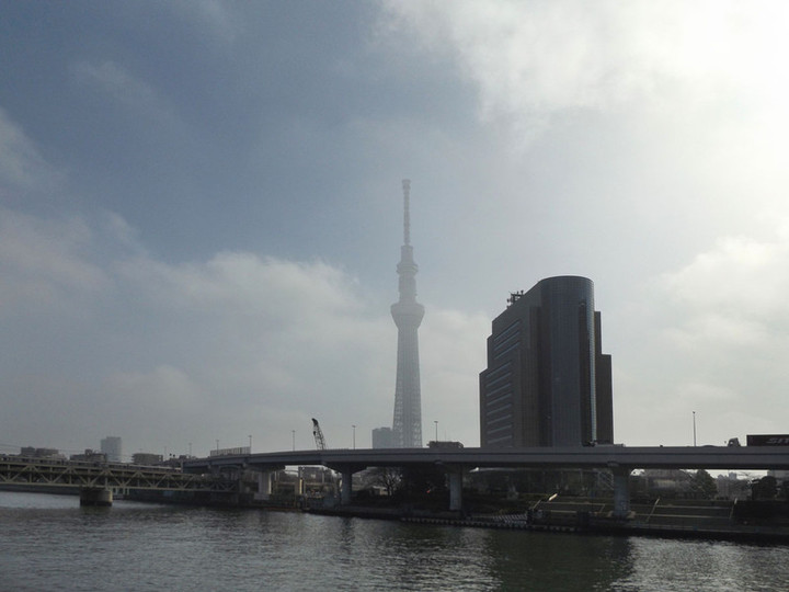 Sumida_kyodo03