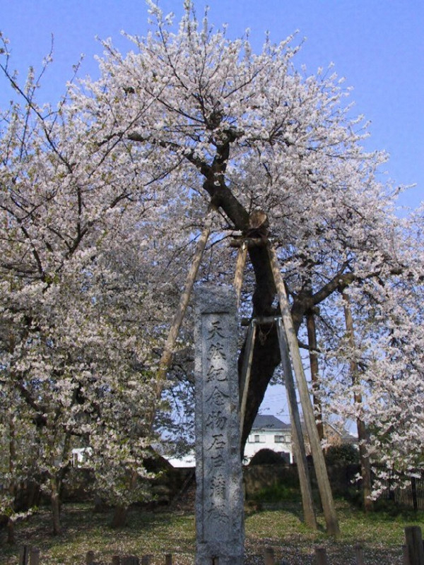 Data_kitamoto1