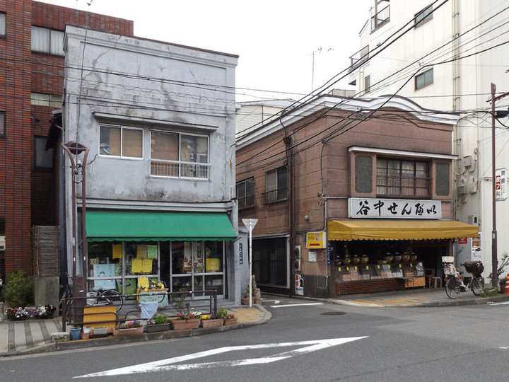Asakura41