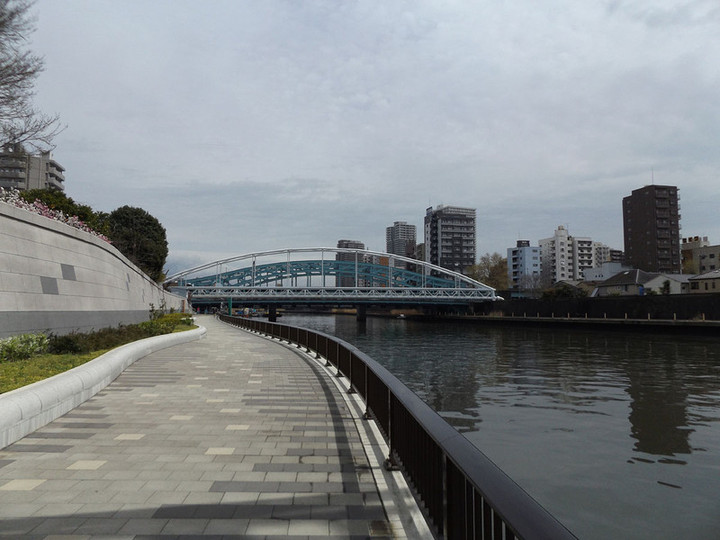 Senjyu_25