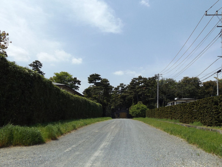 Koshigaya_kamoba1