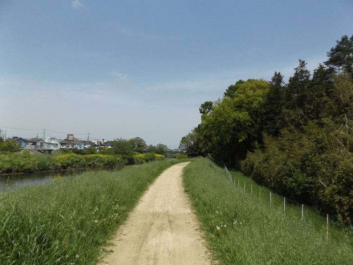 Koshigaya_kamoba3