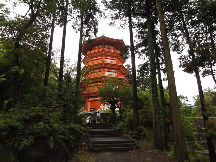 Tokorozawa_yamaguchi2