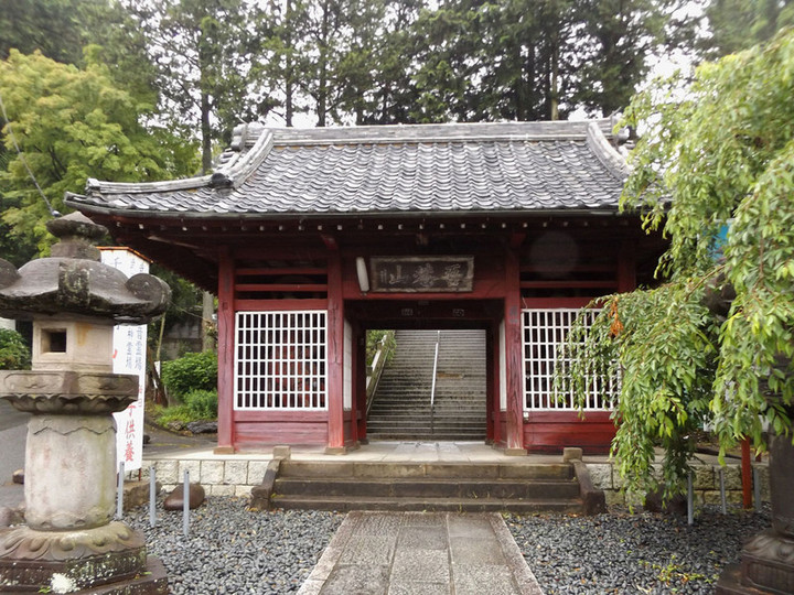 Tokorozawa_yamaguchi5