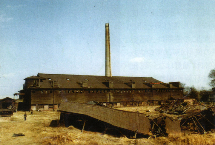 Hoffmann1978