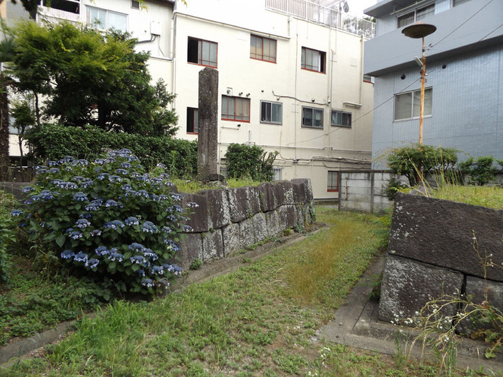 Mebashi_shiro2