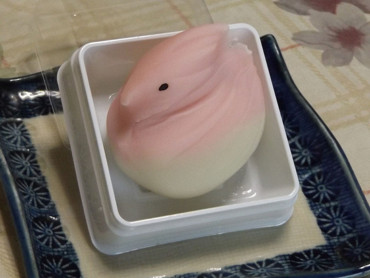 Niitsuma_08