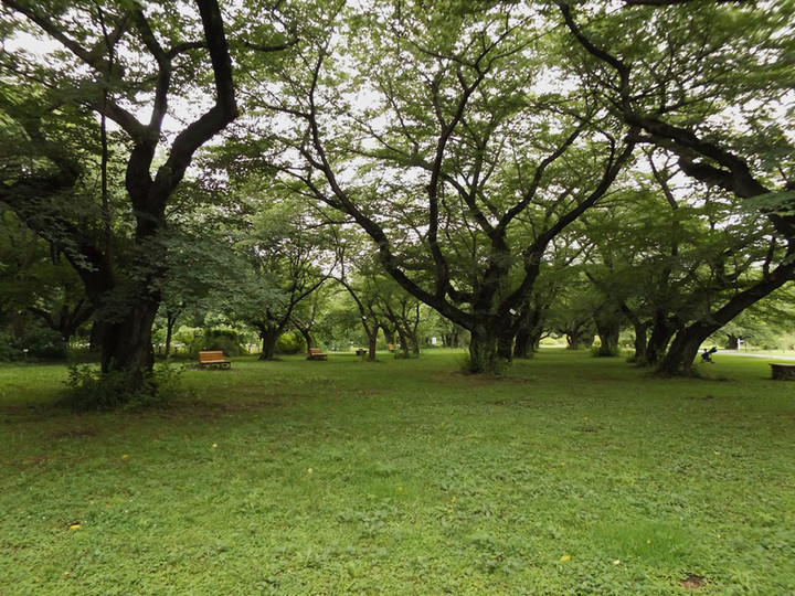 Koishikawa_32 Koishikawa_32